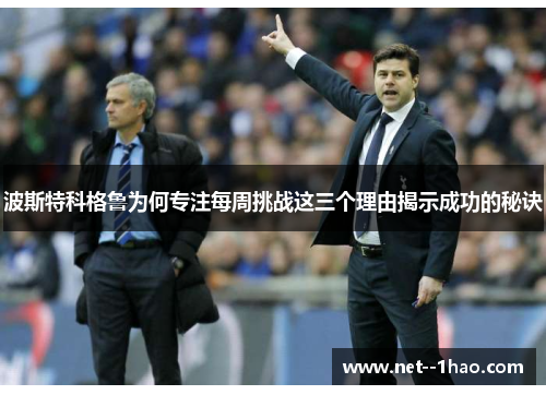 波斯特科格鲁为何专注每周挑战这三个理由揭示成功的秘诀 波斯特科格鲁为何专注每周挑战这三个理由揭示成功的秘诀